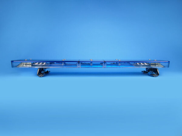 Warnbalken Rauwers Aurum, blau