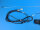 Dachantenne, Tetra, GPS, 2m, 4m, Glonass, FME und Fakra Anschlussstecker