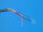 LED-Frontscheibenblitz FWL, blau, offenes Kabelende