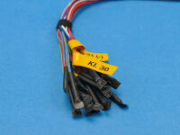 Analog/CAN-Wandler Variante 5