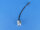 LED-Blinker L88, gelb